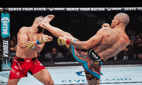 Assista todas as lutas do UFC no celular!