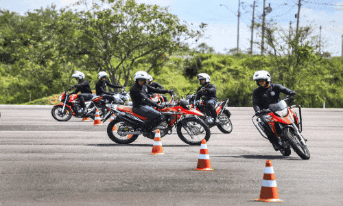 Descubra o caminho para liberdade
