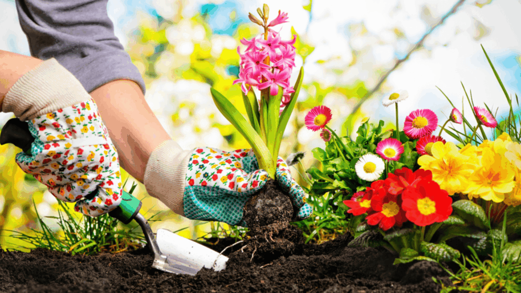 KI erstellt den idealen Garten in 5 Minuten