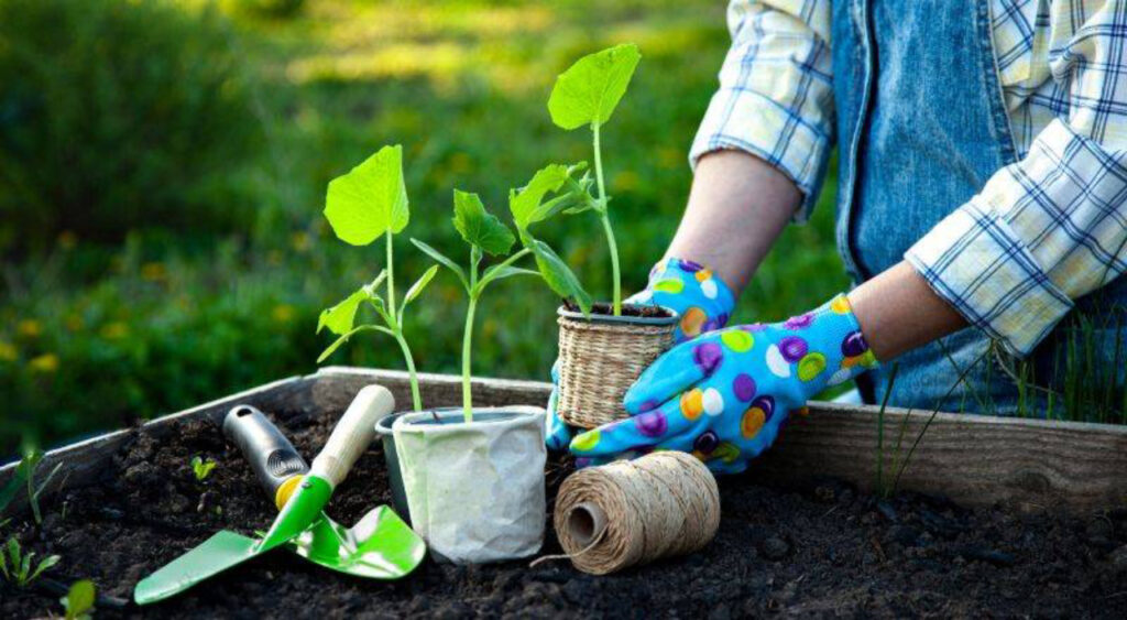 KI erstellt den idealen Garten in 5 Minuten
