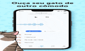 Descubra o idioma dos gatos!