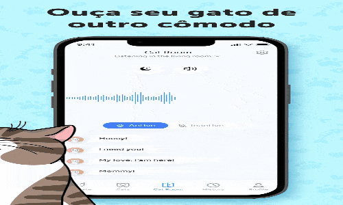 Descubra o idioma dos gatos!