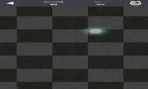 Gatos se divertem com laser!