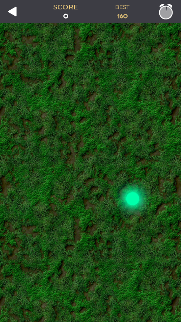 Gatos se divertem com laser!
