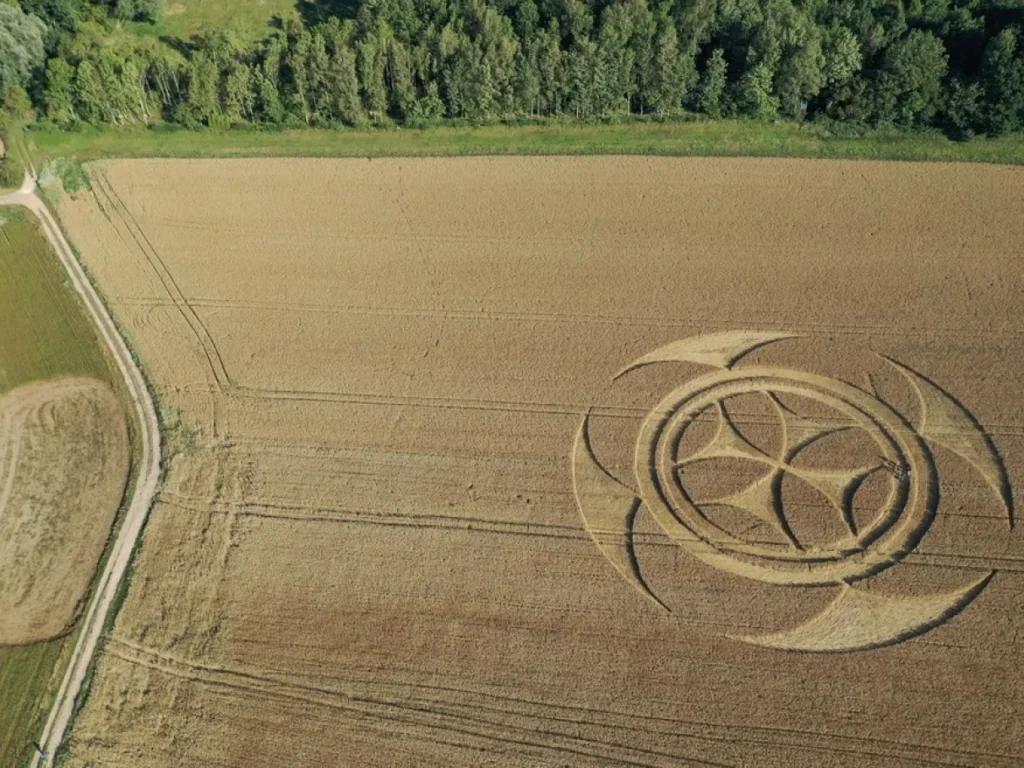 Mistérios das Plantações Decifrados