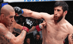 Assista UFC ao vivo no celular