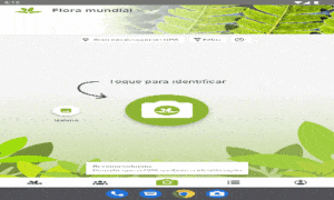 Domine 10 Plantas Raras com PlantNet