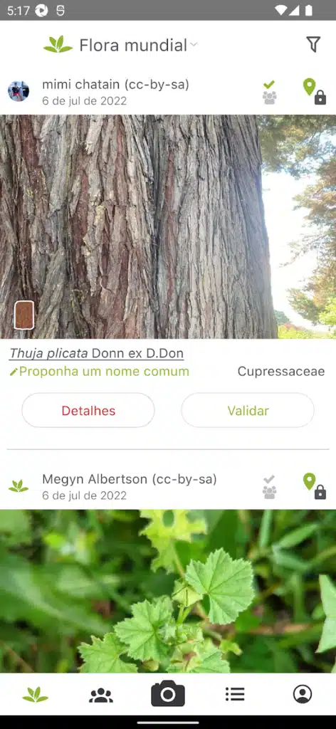 Domine 10 Plantas Raras com PlantNet