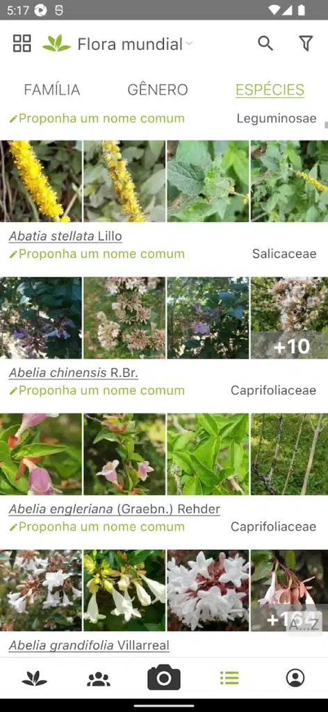 Cuide de Plantas com PlantNet