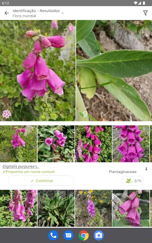 Cuide de Plantas com PlantNet