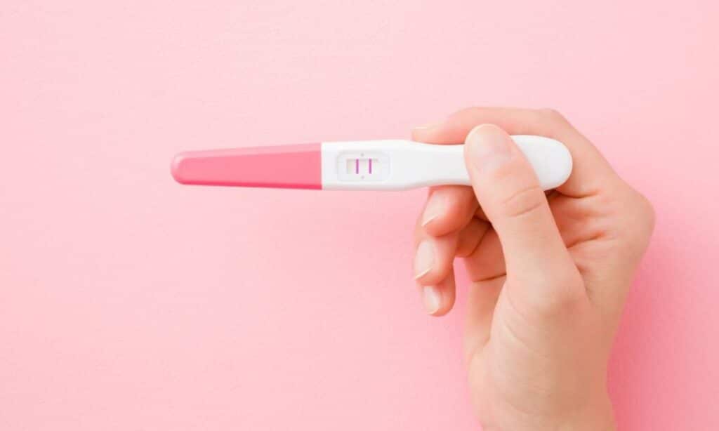 Revelação do Bebê: Dicas Infalíveis